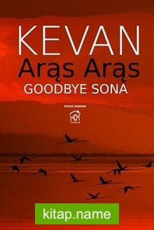 Aras Aras Goodbye Sona
