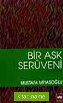 Bir Aşk Serüveni