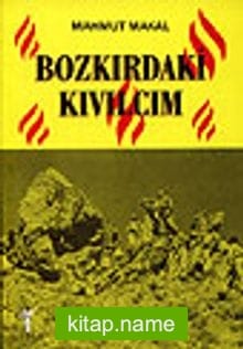 Bozkırdaki Kıvılcım
