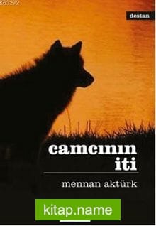 Camcının İti