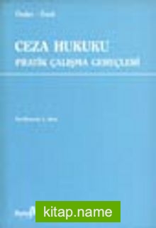 Ceza Hukuku Pratik Çalışmaları