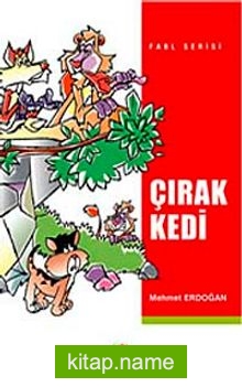 Çırak Kedi