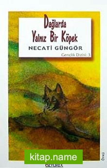 Dağlarda Yalnız Bir Köpek