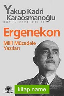 Ergenekon Milli Mücadele Yazıları