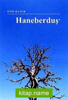 Haneberduş