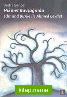 Hikmet Kavşağında  Edmund Burke ile Ahmed Cevdet