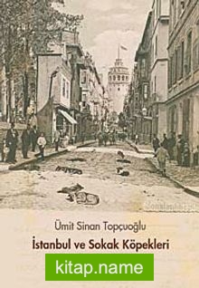 İstanbul ve Sokak Köpekleri