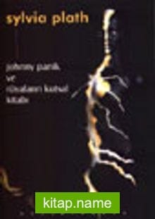 Jonny Panik ve Rüyaların Kutsal Kitabı