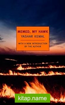 Memed, My Hawk