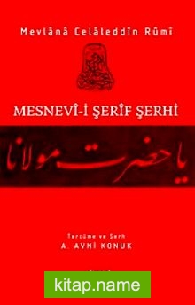 Mesnevi-i Şerif Şerhi 13