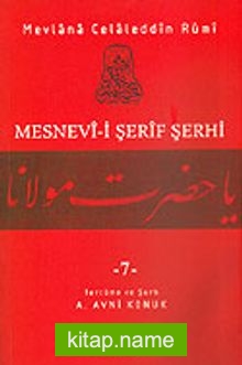 Mesnevi-i Şerif Şerhi 7