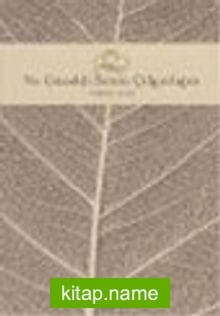 Ne Güzeldi Senin Çılgınlığın