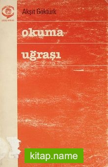 Okuma Uğraşı (1-C-13)