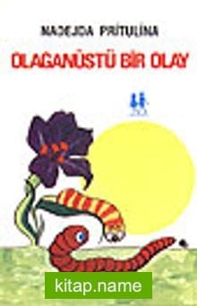 Olağanüstü Bir Olay