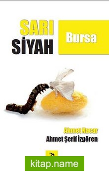 Sarı Siyah Bursa