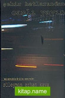 Şehir Hatlarından Canlı Yayın