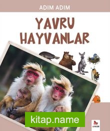 Adım Adım Yavru Hayvanlar