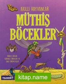 Akıllı Hayvanlar / Müthiş Böcekler
