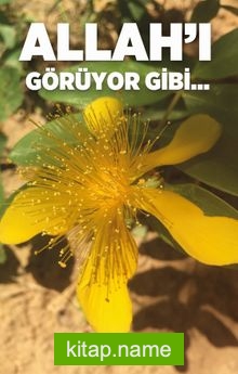 Allah’ı Görüyor Gibi…
