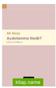 Aydınlanma Nedir? Minor Politika II