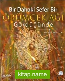 Bir Dahaki Sefer Örümcek Ağı Gördüğünde