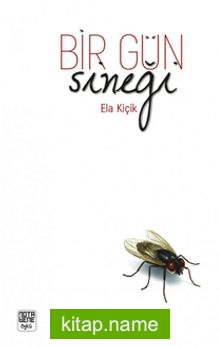 Bir Gün Sineği