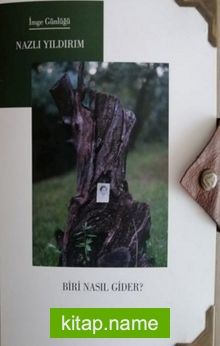 Biri Nasıl Gider?