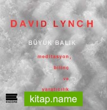 Büyük Balık Meditasyon, Bilinç ve Yaratıcılık