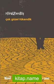 Çok Güzel Tükendik kitap kapağı