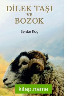 Dilek Taşı ve Bozok