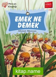 Emek Ne Demek