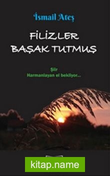 Filizler Başak Tutmuş