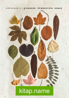 Giderken Öpmeseydin Keşke