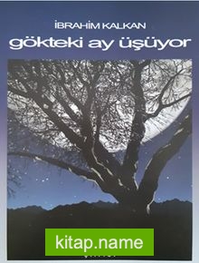 Gökteki Ay Üşüyor
