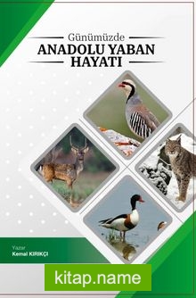 Günümüzde Anadoluda Yaban Hayatı