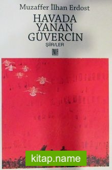 Havada Yanan Güvercin