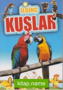 İlginç Bilgiler Serisi / İlginç Kuşlar
