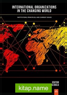 International Organizations In The Changing Worl