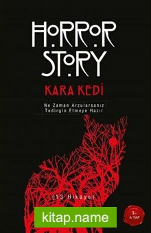 Kara Kedi / Horror Story 3. Kitap