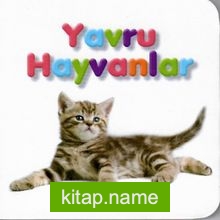 Küçük Kitaplar / Yavru Hayvanlar