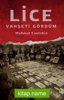 Lice Vahşeti Gördüm