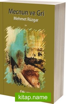 Mecnun ve Gri
