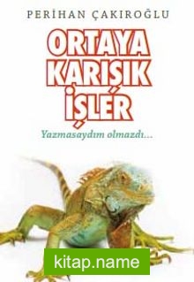 Ortaya Karışık İşler