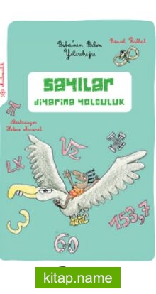 Sayılar Diyarına Yolculuk