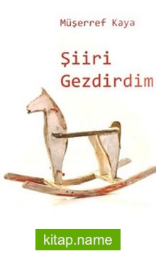 Şiiri Gezdirdim