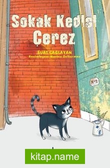 Sokak Kedisi Çerez