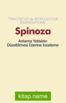 Spinoza Anlama Yetisinin Düzeltilmesi Üzerine İnceleme