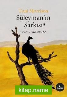 Süleyman’ın Şarkısı