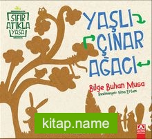 Yaşlı Çınar Ağacı
