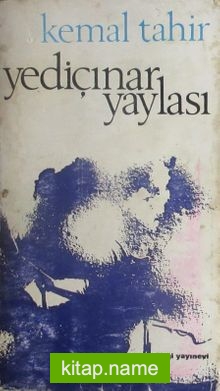 Yediçınar Yaylası (1-E-64)